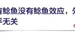 开云-大讨论丨中超是否该全面开放外援？
